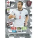 Harry Kane Limited Edition England