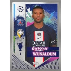 Georginio Wijnaldum PSG 362