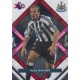 Alan Shearer Legend Excellence Newcastle United