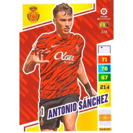 Antonio Sánchez Mallorca 229