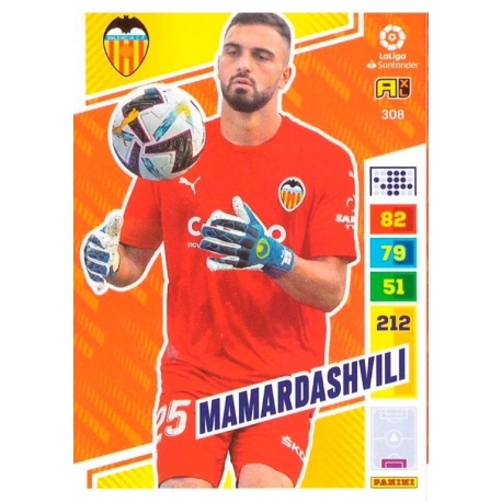 Mamardashvili Valencia 308