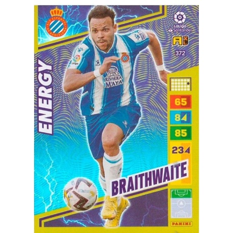 Braithwaite Energy 372