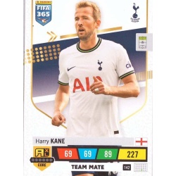 Harry Kane Tottenham Hotspur 142