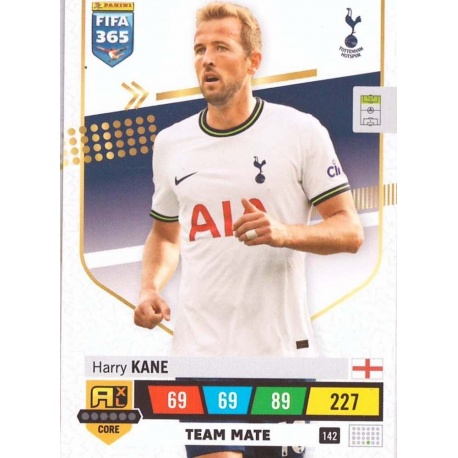 Harry Kane Tottenham Hotspur 142