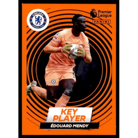 Édouard Mendy Key Player Chelsea 194