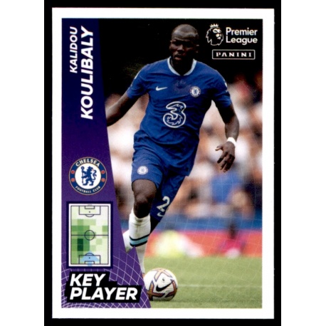 Kalidou Koulibaly Key Player Chelsea 196