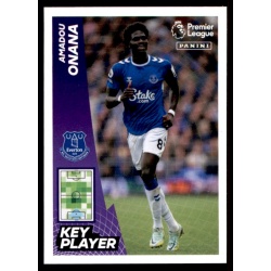 Amadou Onana Key Player Everton 251