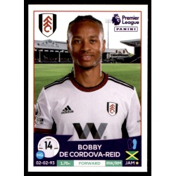 Bobby Decordova Fulham 273