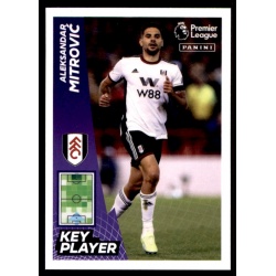 Aleksandar Mitrović Key Player Fulham 282