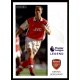 Dennis Bergkamp Legend Arsenal 333