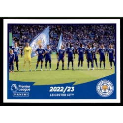 Team Photo Leicester City 354