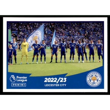 Team Photo Leicester City 354