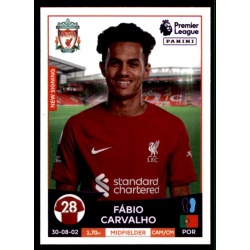 Fabio Carvalho Liverpool 392