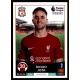 Diogo Jota Liverpool 395