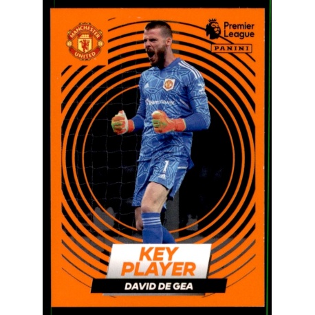 David De Gea Key Player Manchester United 460