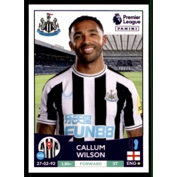 Callum Wilson Newcastle United 481