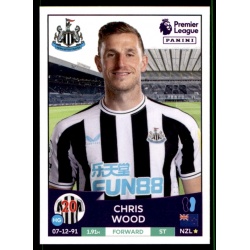 Chris Wood Newcastle United 484