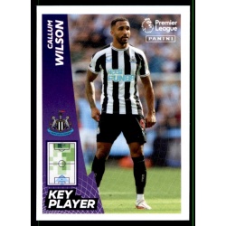 Callum Wilson Key Player Newcastle United 490