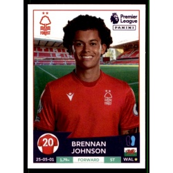 Brennan Johnson Nottingham Forest 512