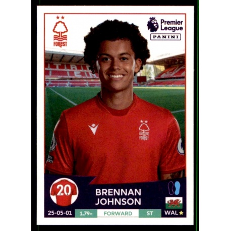 Brennan Johnson Nottingham Forest 512