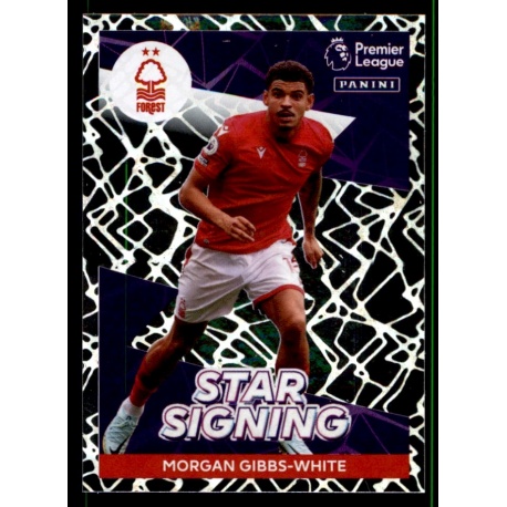 Morgan Gibbs-White Star Signing Nottingham Forest 515