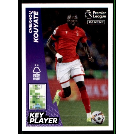 Cheikhou Kouyaté Key Player Nottingham Forest 517