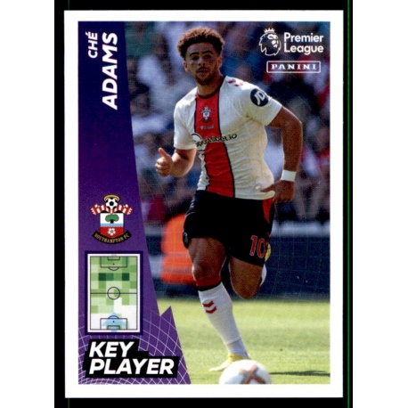 Ché Adams Key Player Southampton 548