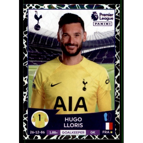 Hugo Lloris Tottenham Hotspur 551