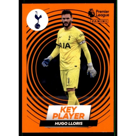 Hugo Lloris Key Player Tottenham Hotspur 576