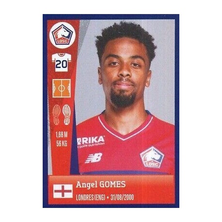 Angel Gomes LOSC Lille 166