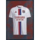 Maillot Domicile Olympique Lyonnais 193