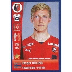 Birger Meling Stade Rennais FC 377