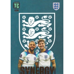 Kyle Walker / John Stones Synergy England 220