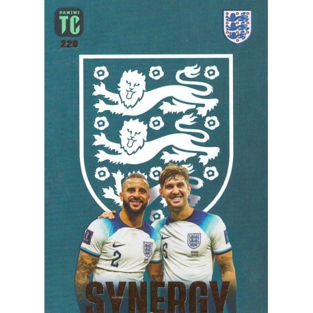 Kyle Walker / John Stones Synergy England 220