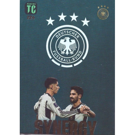 Kai Havertz / Ilkay Gündogan Synergy Germany 224