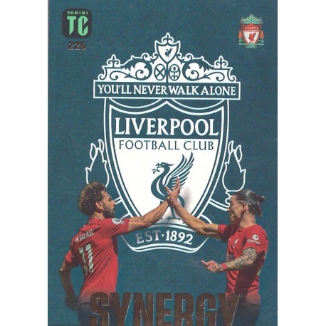 Mohamed Salah / Núñez Synergy Liverpool 225