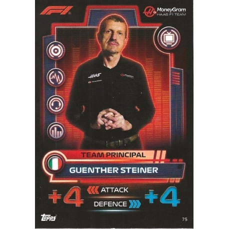 Guenther Steiner - F1 Team Principal 75