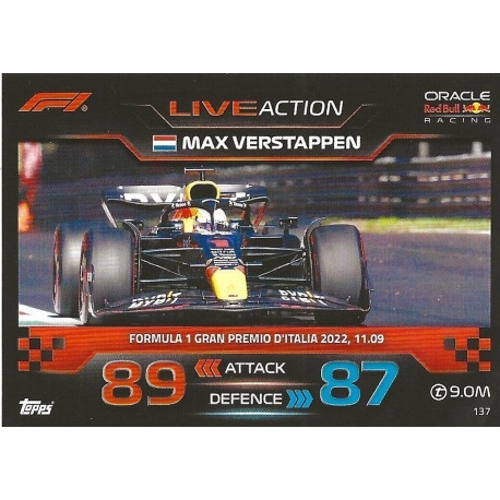 Max Verstappen F1 Live Action 2022 137