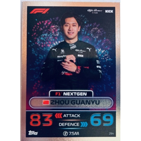 Zhou Guanyu F1 NEXTGEN 294