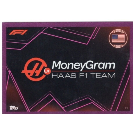 Haas Team Logo Pink Parallel 73