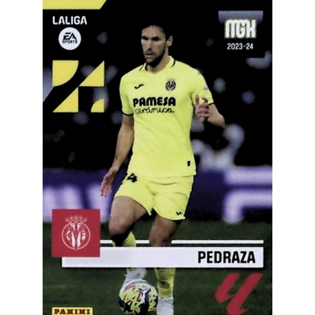 Pedraza Villarreal 371