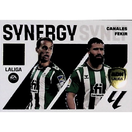 Canales / Fekir Synergy 7