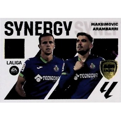 Maksimoviv / Arambarri Synergy 8