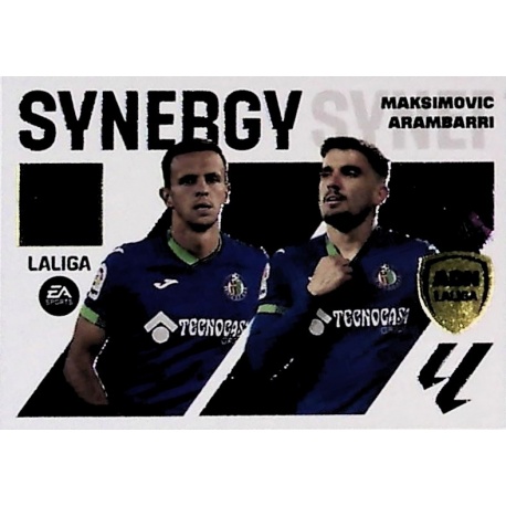 Maksimoviv / Arambarri Synergy 8