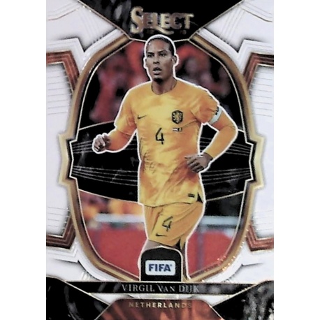 Virgil van Dijk Terrace Netherlands 95