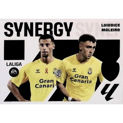 Loiodice / Moleiro Synergy 10