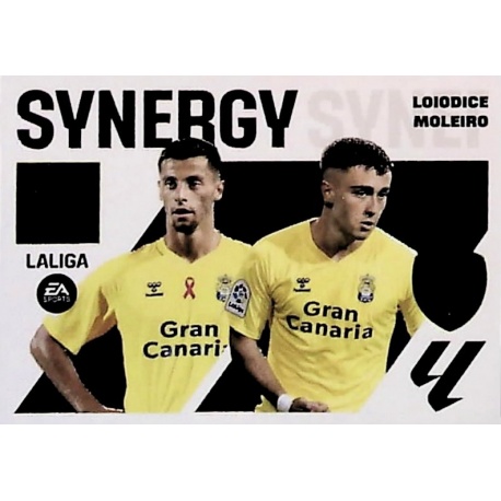 Loiodice / Moleiro Synergy 10