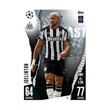 Joelinton Newcastle United 75