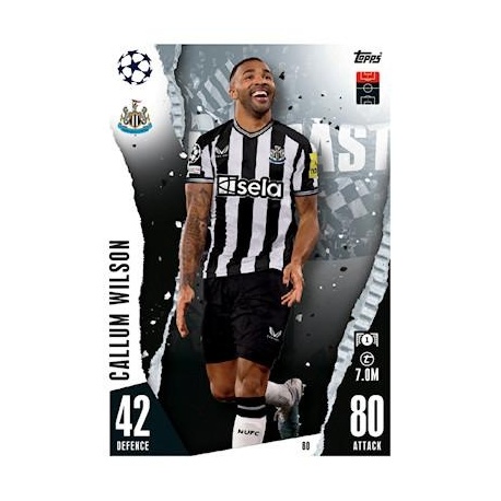 Callum Wilson Newcastle United 80