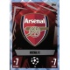 Club Badge Crystal Arsenal 28